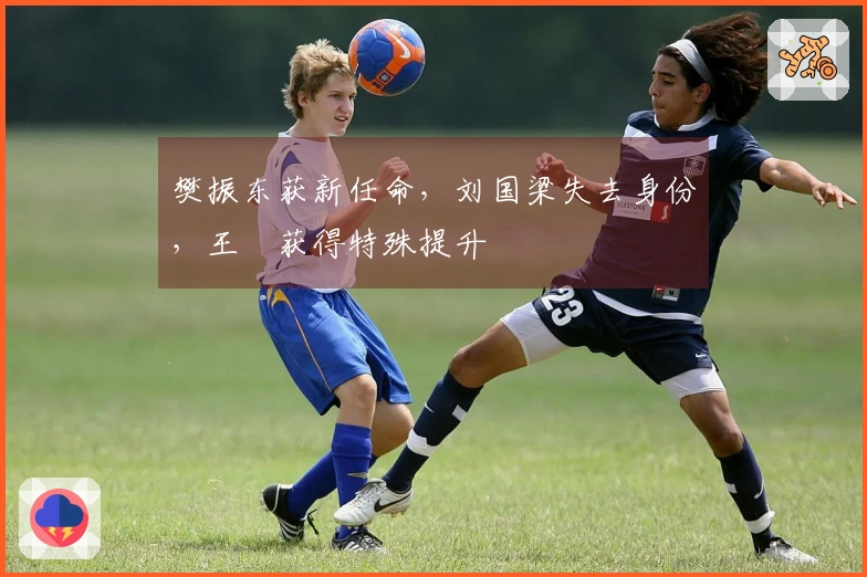 樊振东获新任命，刘国梁失去身份，王濛获得特殊提升